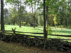 More stone wall/fence combo