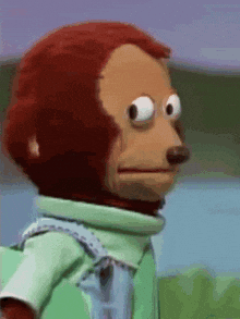 Side Eye Monkey